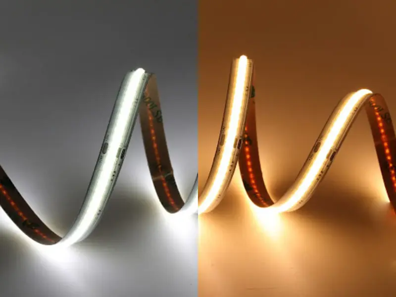 Tunable white COB LED strip coils lit side by side in cool and warm white
